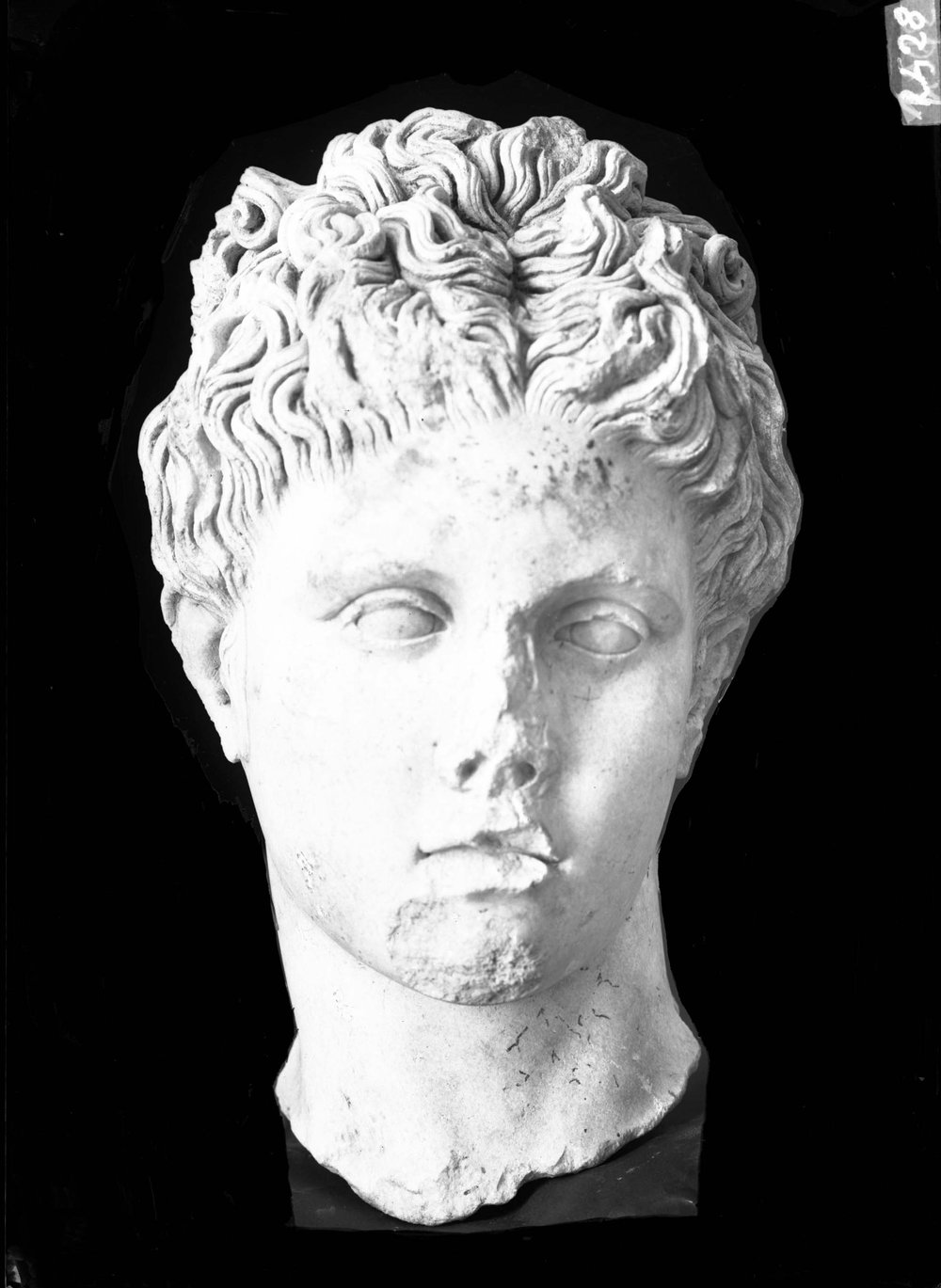 AP1528-asf011623.jpg