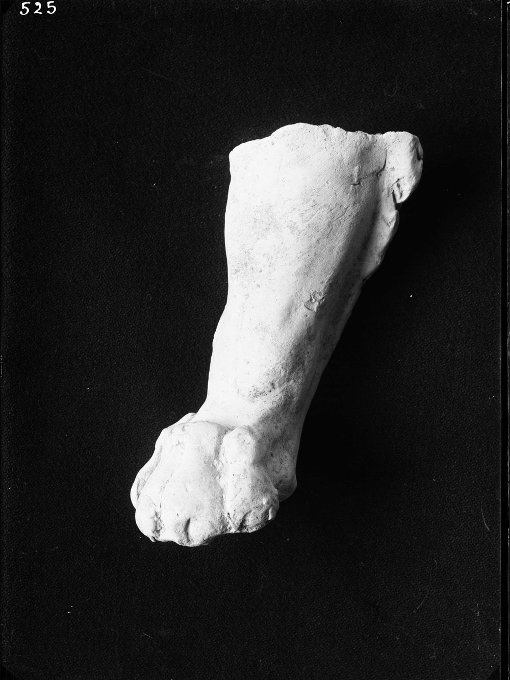 AP525-asf011483.jpg