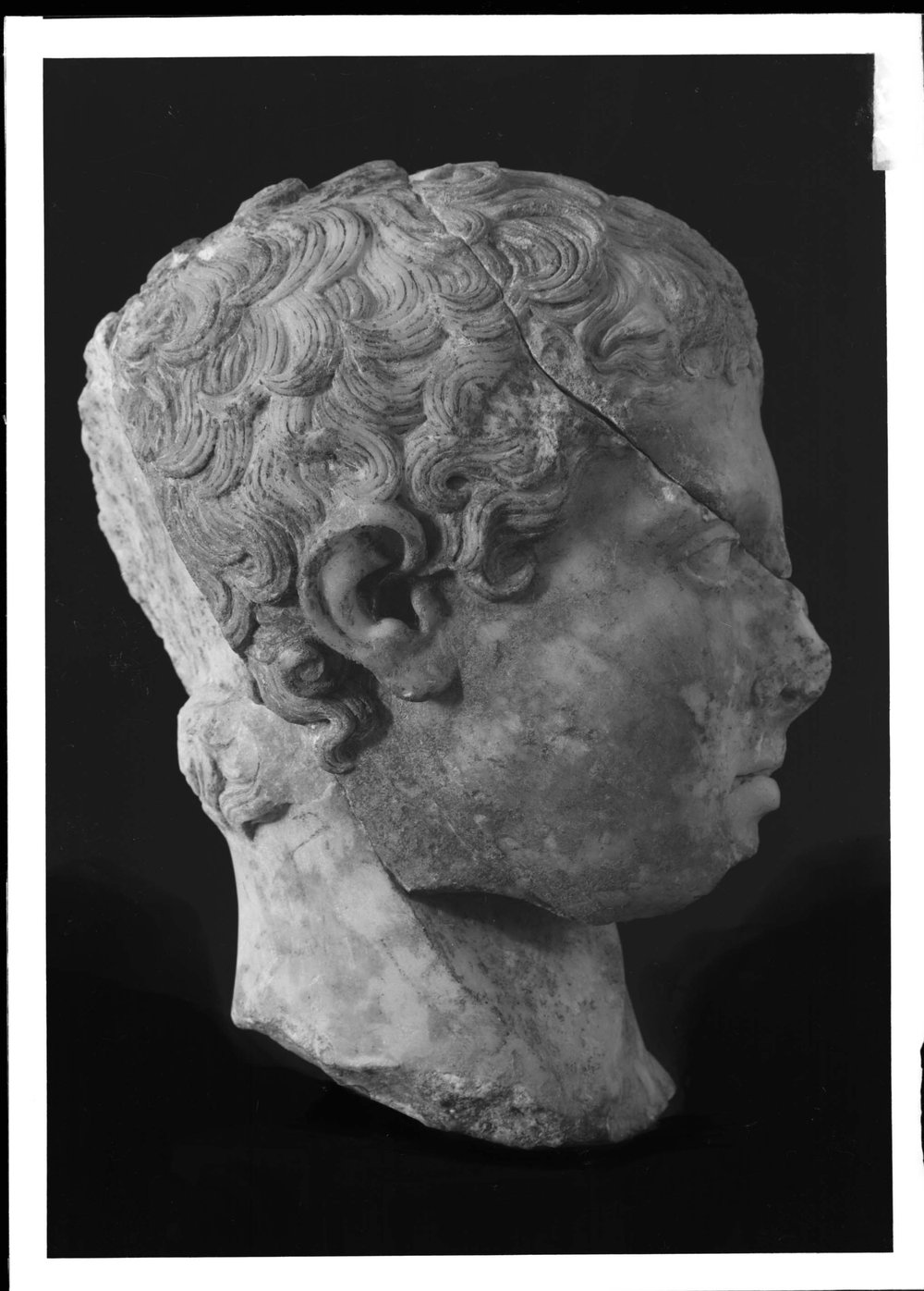 AP1542-asf011637.jpg