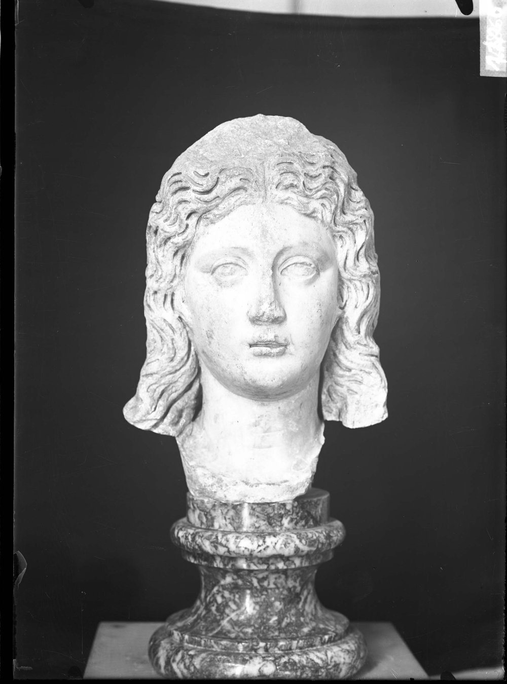 AP1426-asf011523.jpg
