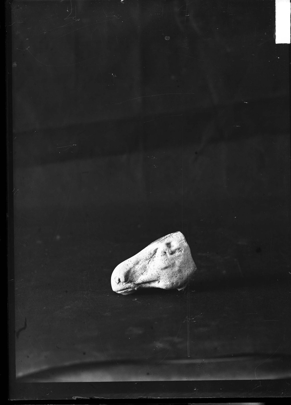 AP1507-asf011602.jpg