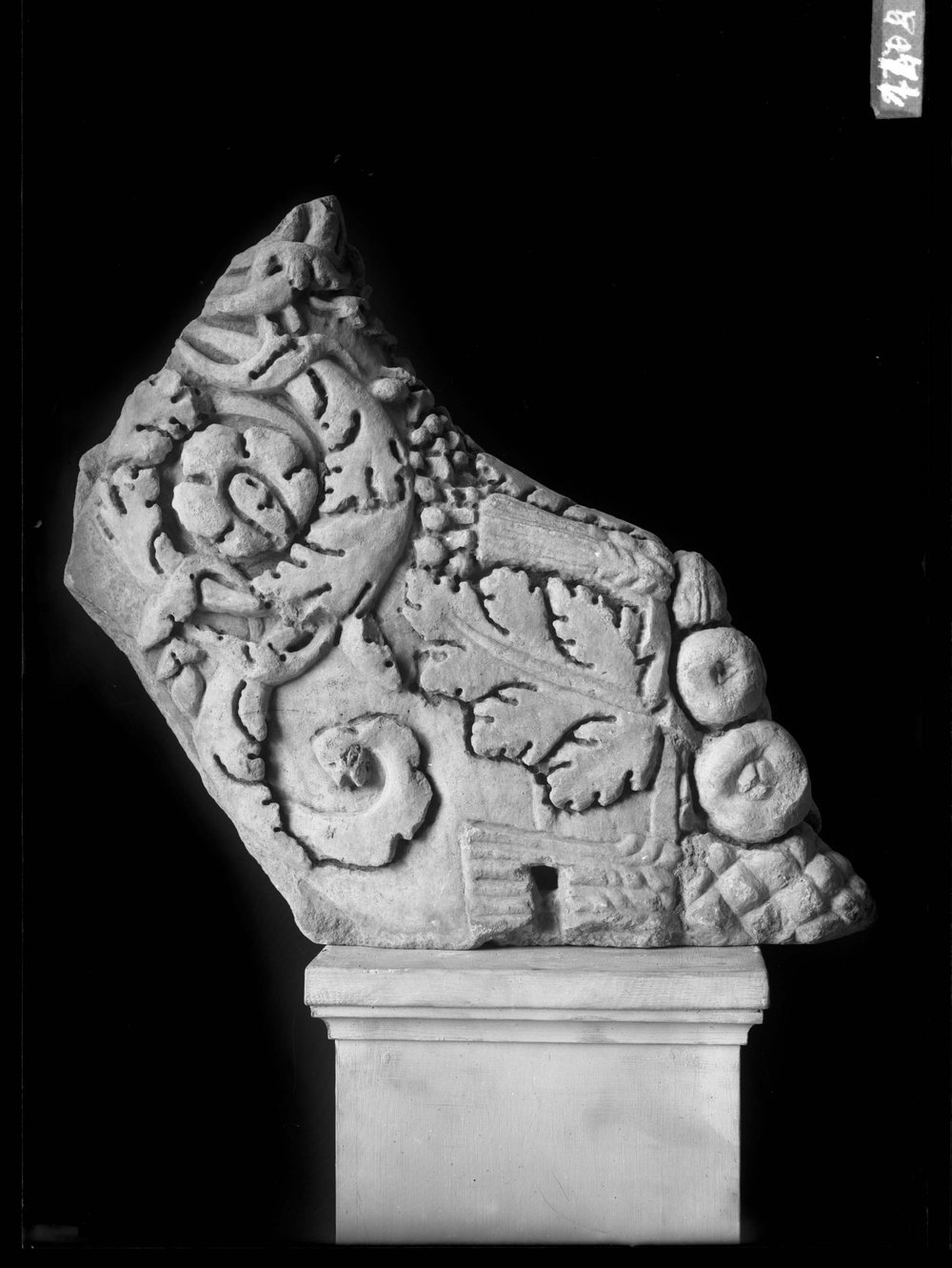 AP1474-asf011569.jpg