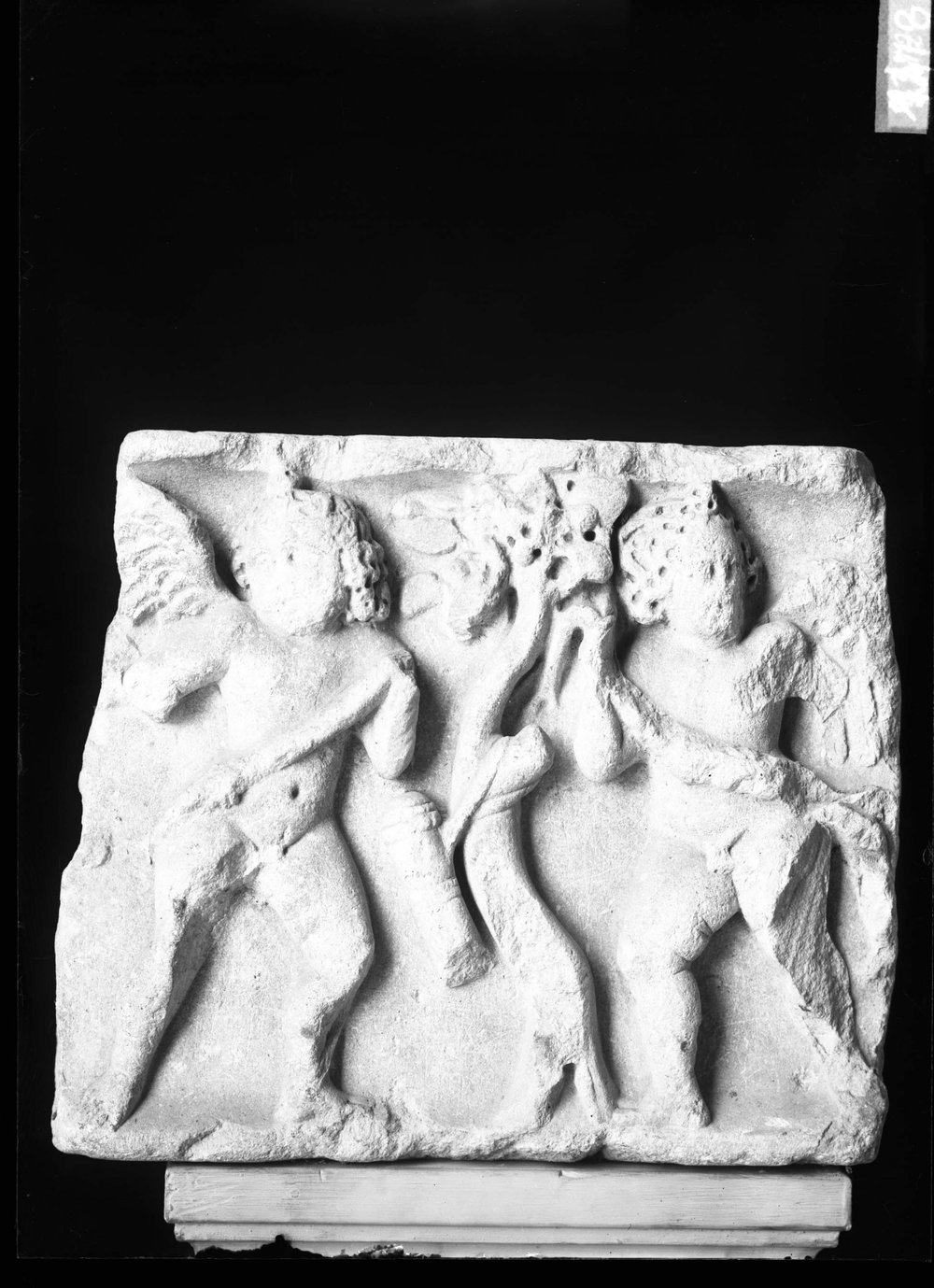 AP1478-asf011573.jpg