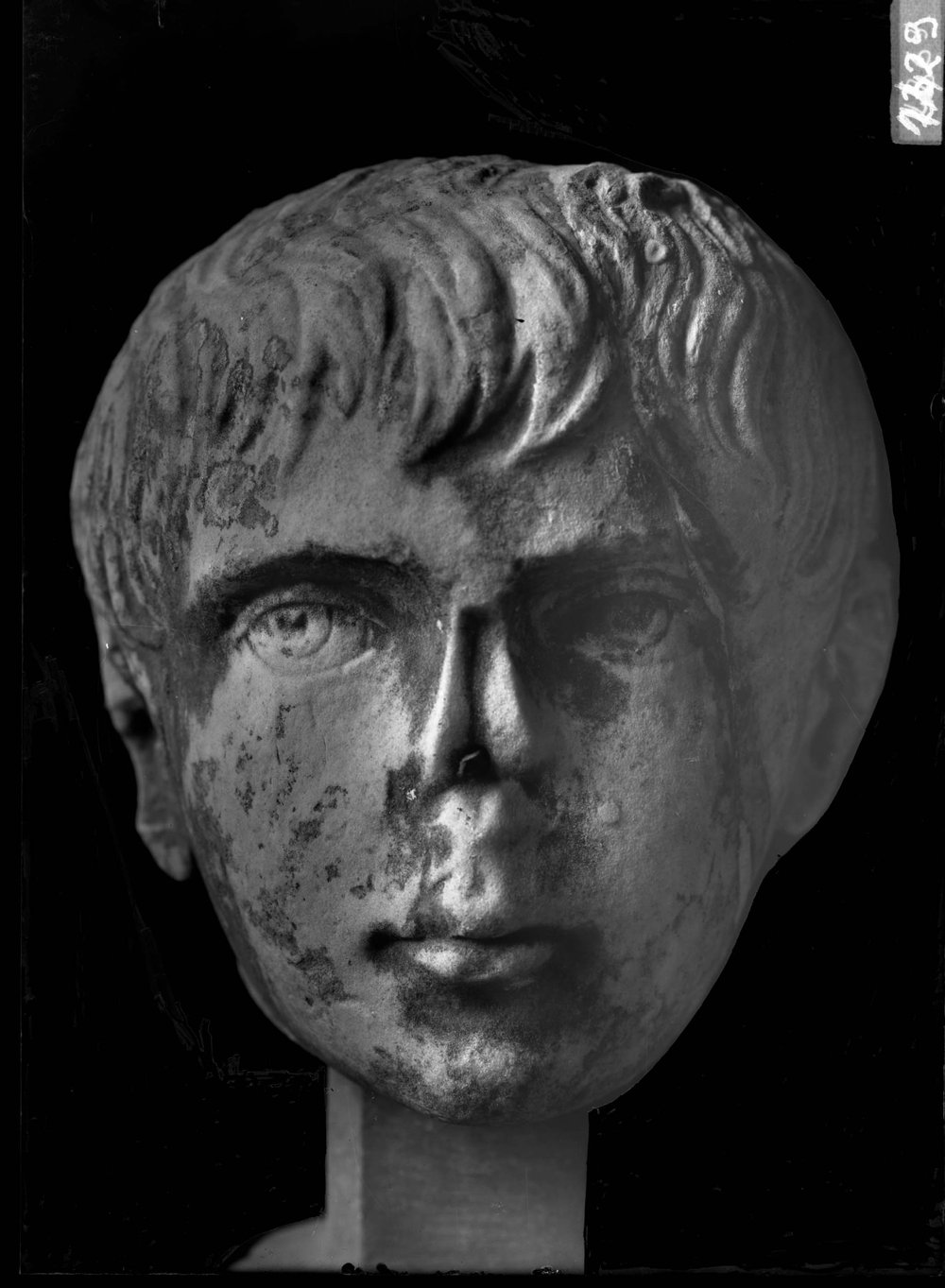 AP1429-asf011526.jpg