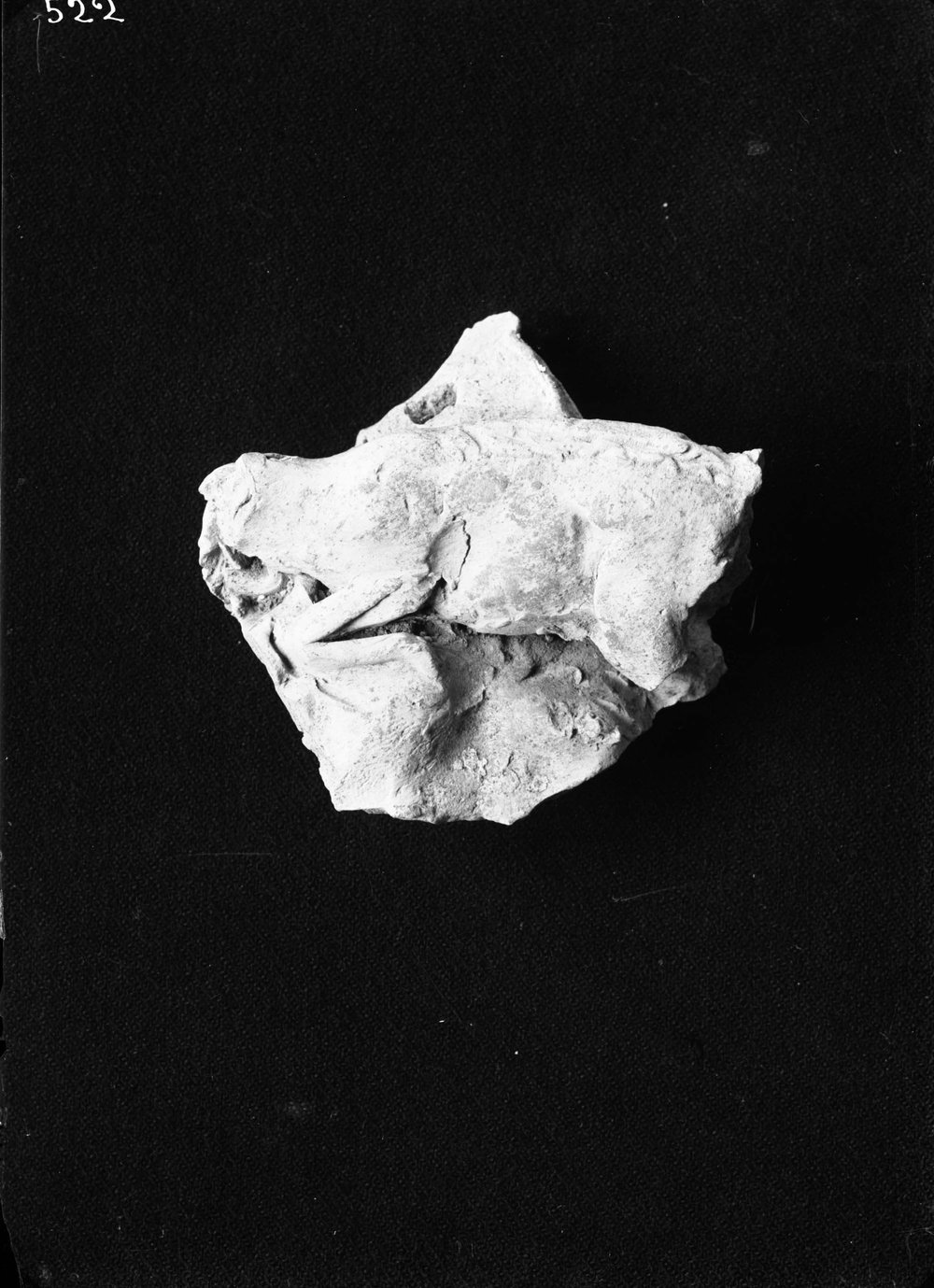 AP522-asf011480.jpg