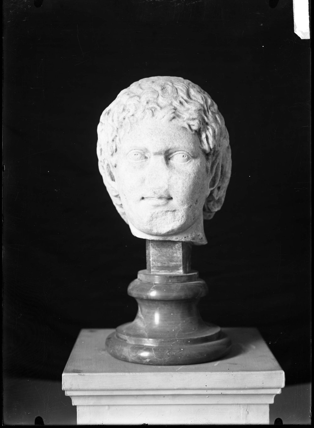 AP1415-asf011512.jpg