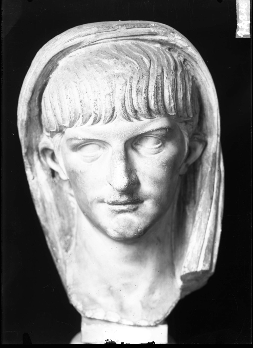 AP1424-asf011521.jpg