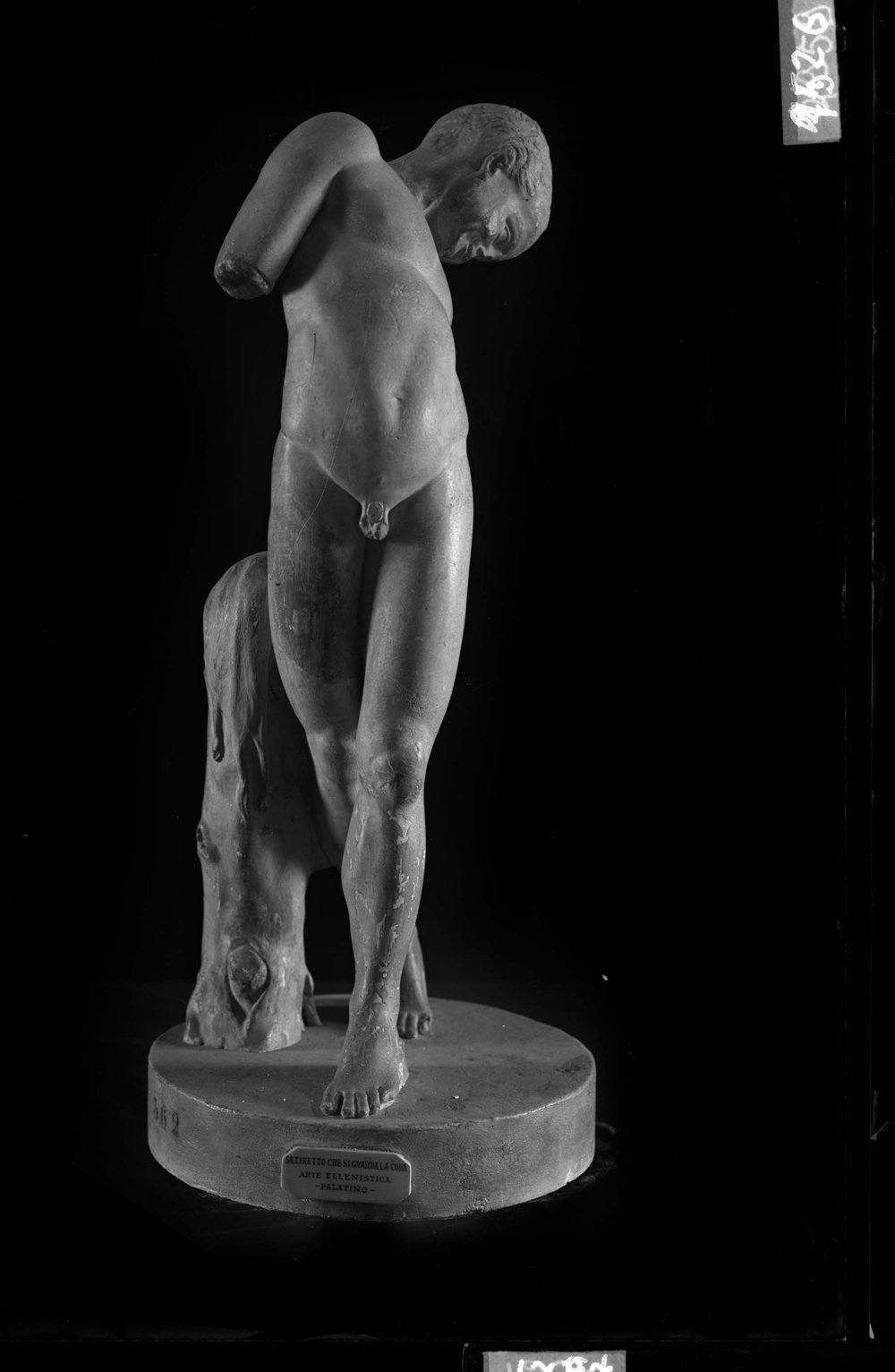 AP1526-asf011621.jpg