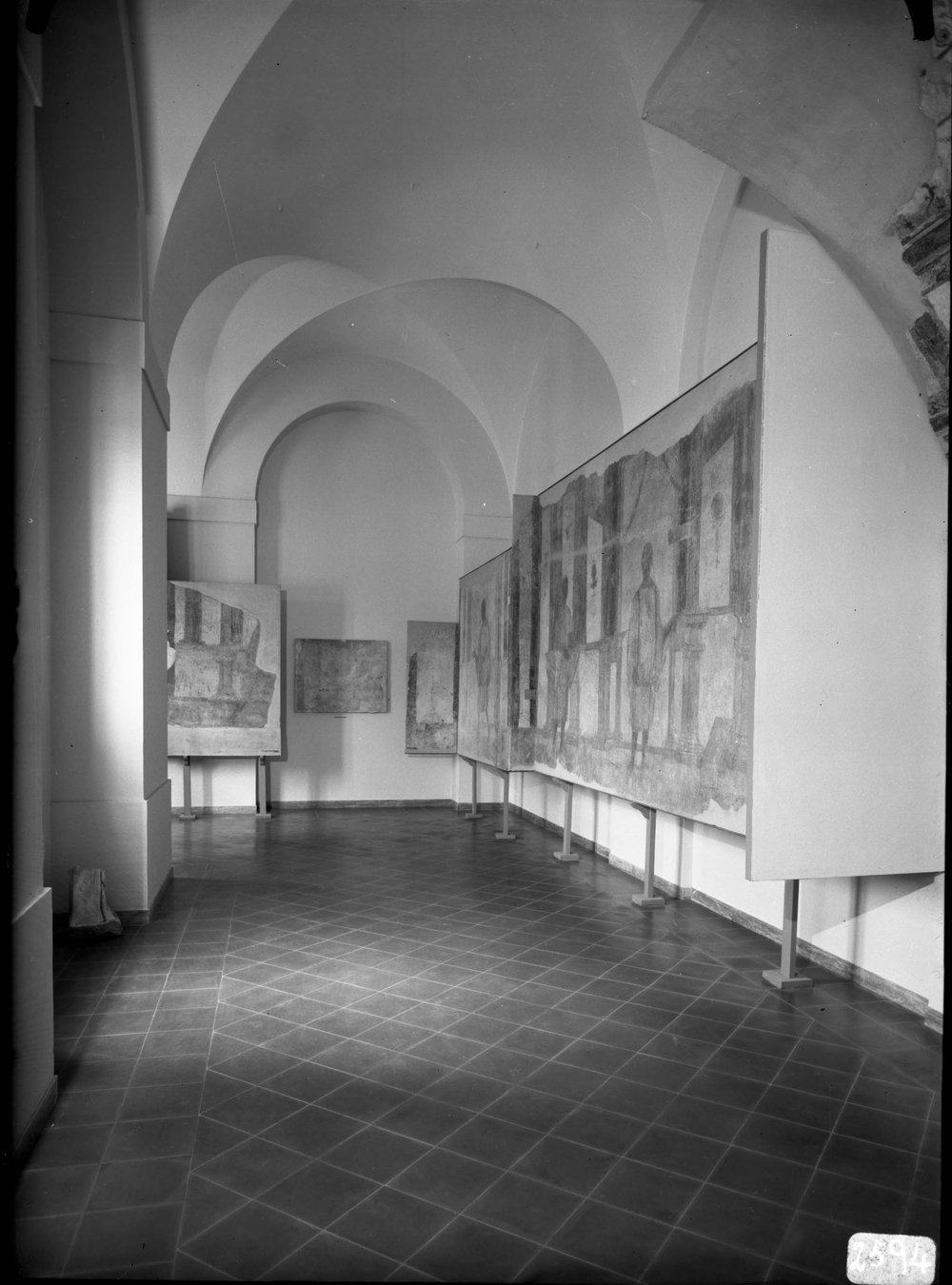 AP2594-asf011471.jpg