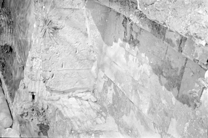 1-00009/ 07551/ 16779 - Roma - Foro Romano - Zona a Nord del Sepolcreto