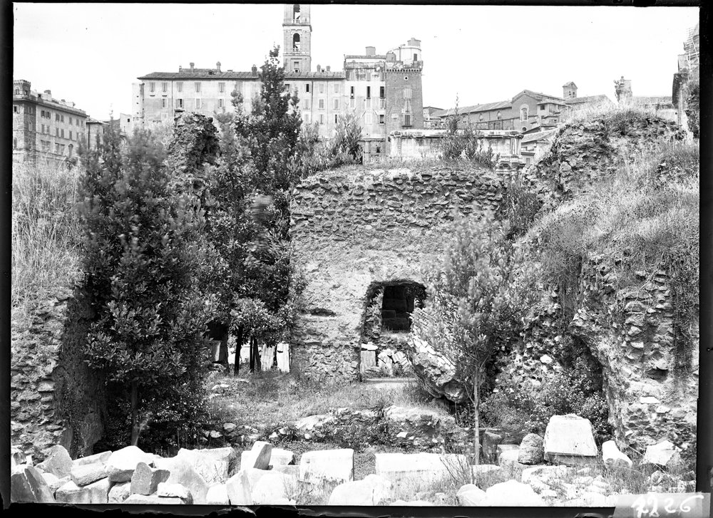 Tempio del Divo Giulio - 1226.tif