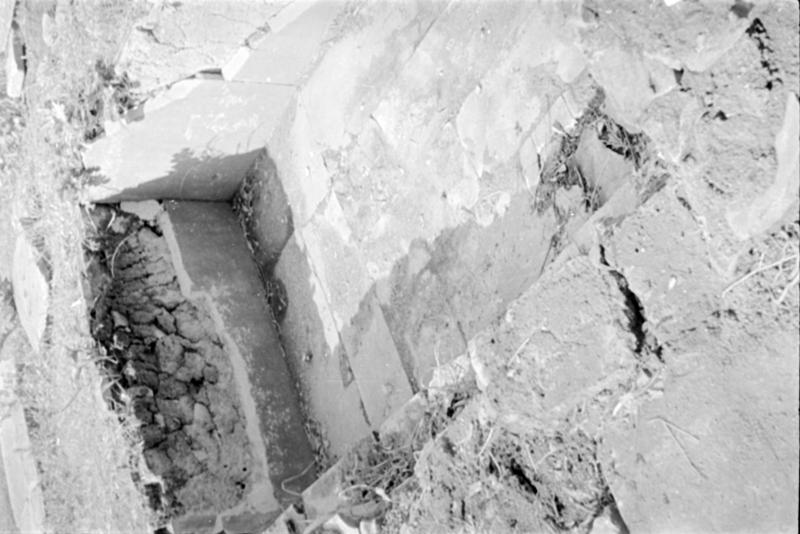 1-00009/ 07551/ 16779 - Roma - Foro Romano - Zona a Nord del Sepolcreto