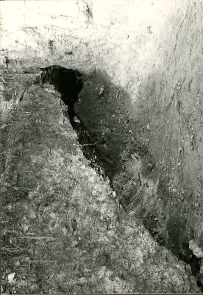 C002305 - restauro - Colosseo, ingresso nord, primo ordine, particolare della decorazione in stucco presente sull'intradosso della volta durante il restauro (foto 22/07/1986); neg. serie L, n. A 39