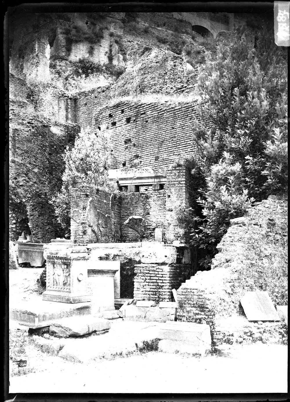 Sacrario di Giuturna 1219.tif