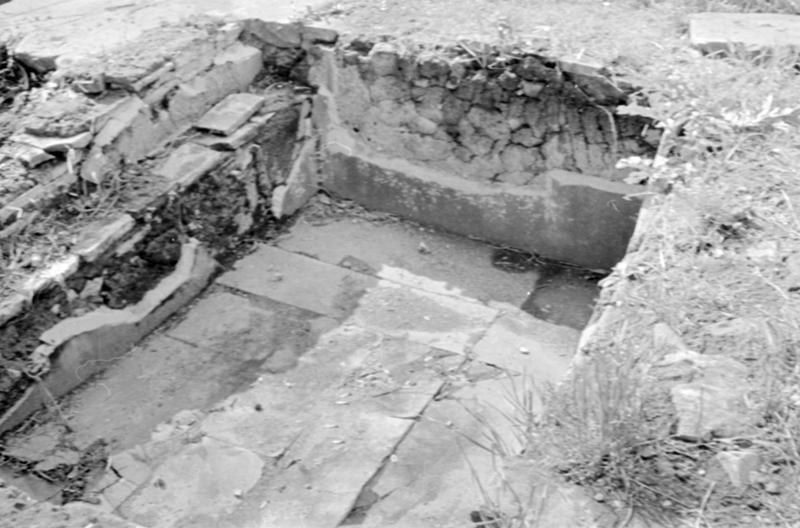 1-00009/ 07551/ 16779 - Roma - Foro Romano - Zona a Nord del Sepolcreto