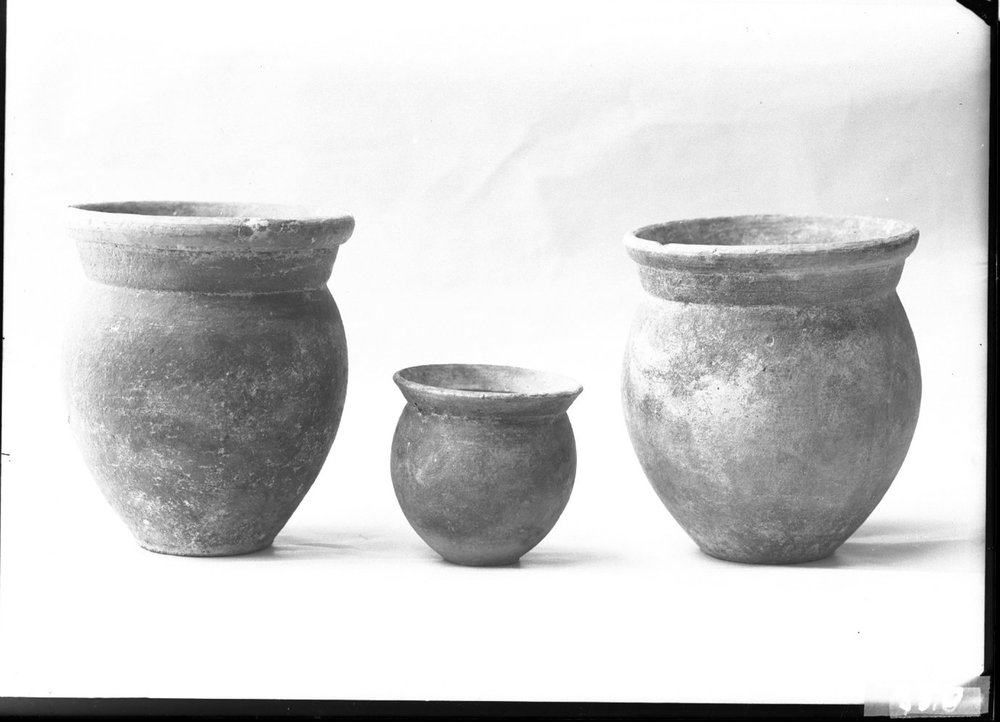 Materiale dal Comizio 950.jpg