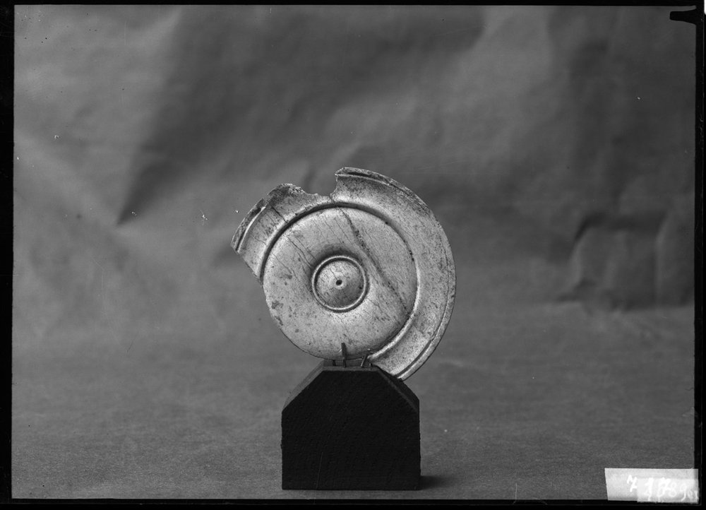 Materiale dal Comizio 717.jpg