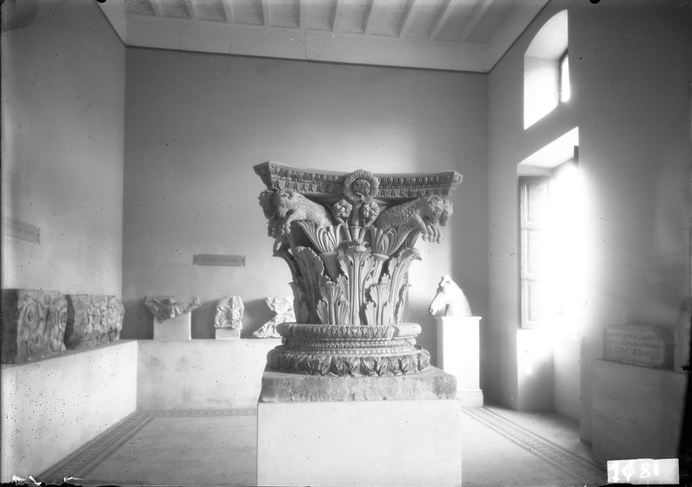 Vedute delle sale dell'antiquario 1181.tif