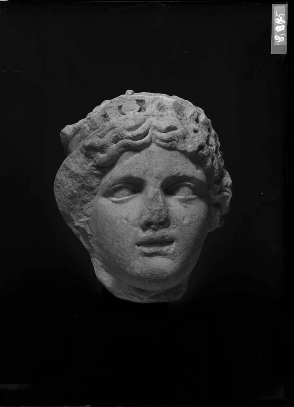 Frammenti scultorei 897.jpg