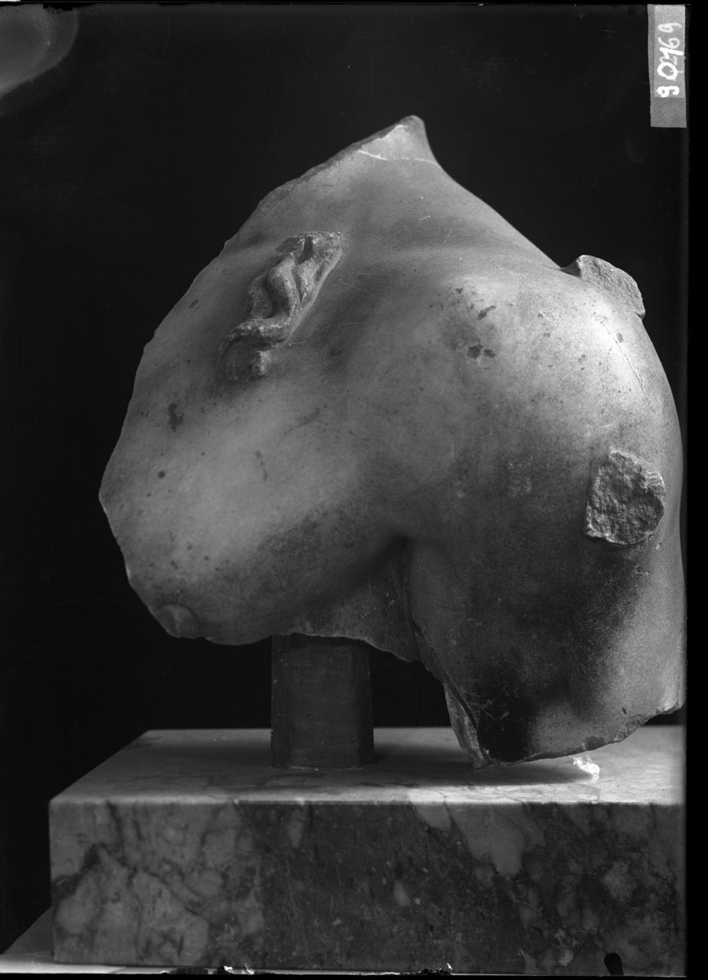 Frammenti scultorei 901.jpg
