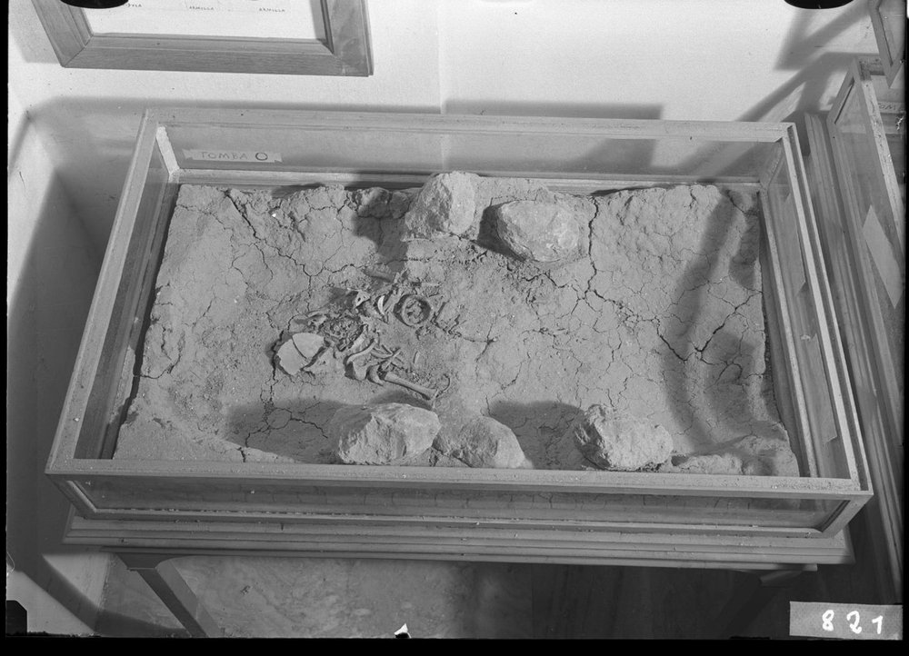 Materiale dal Sepolcreto 821.jpg