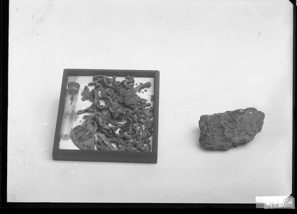 Materiale dal Sepolcreto 813.jpg