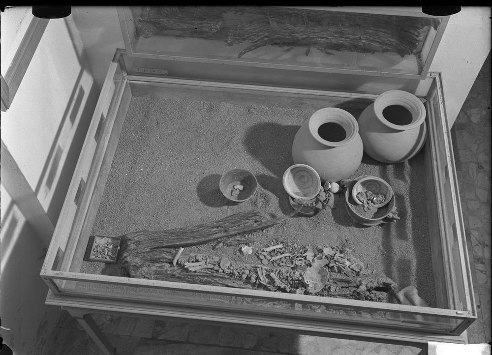 Materiale dal Sepolcreto 827.jpg