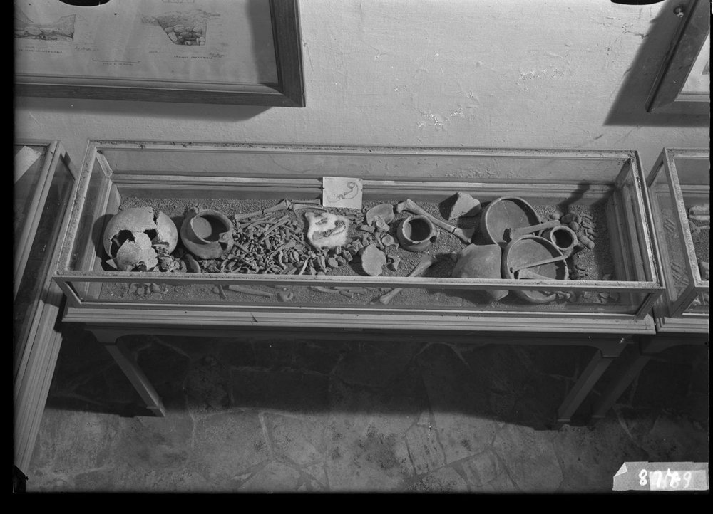 Materiale dal Sepolcreto 817.jpg