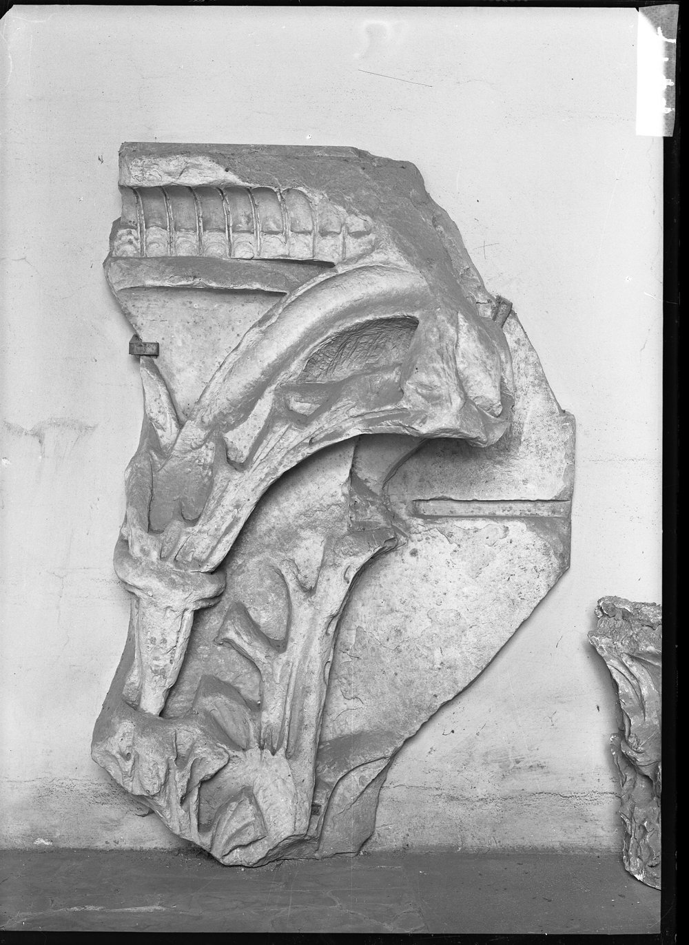 Frammenti architettonici 1177.tif