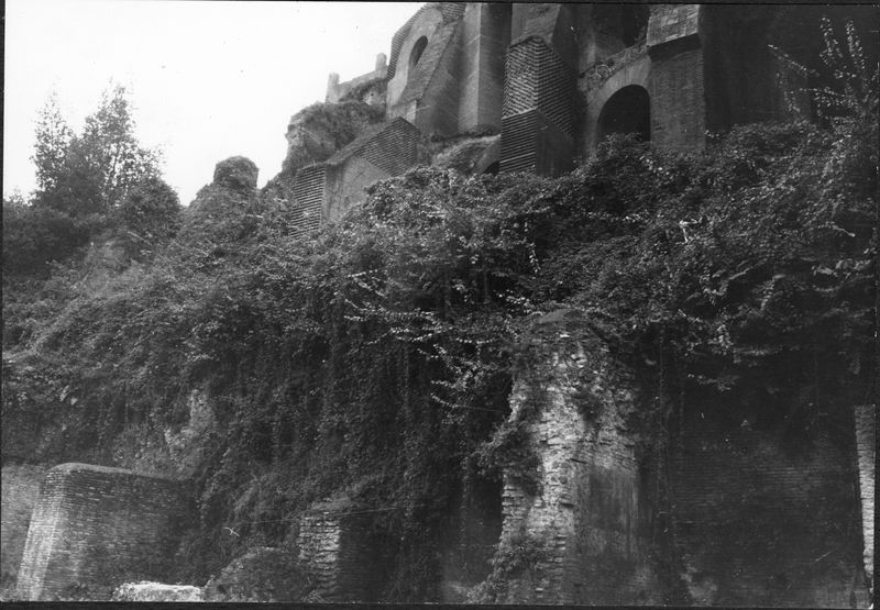 005244 - restauro - Domus Tiberiana, fronte Nord-Est settore 17-Livello II: ambienti sulla via Nova, lavori di disboscamento dicembre 1963