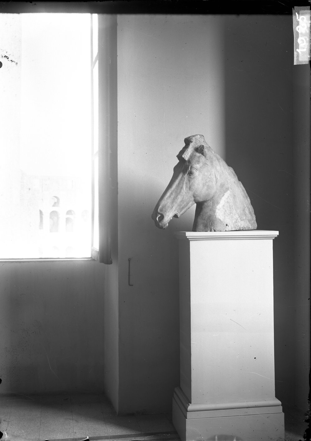 Testa del cavallo dalla fonte di Giuturna 1025.tif