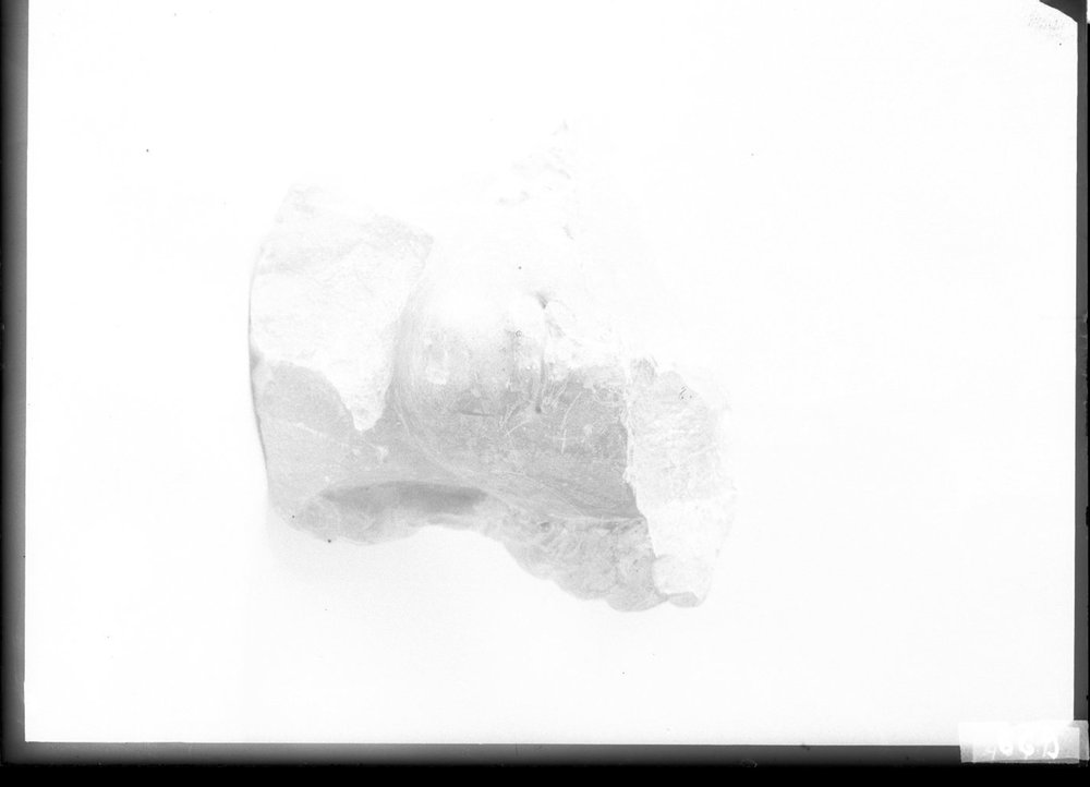 Terracotte e frammenti marmorei 869.jpg