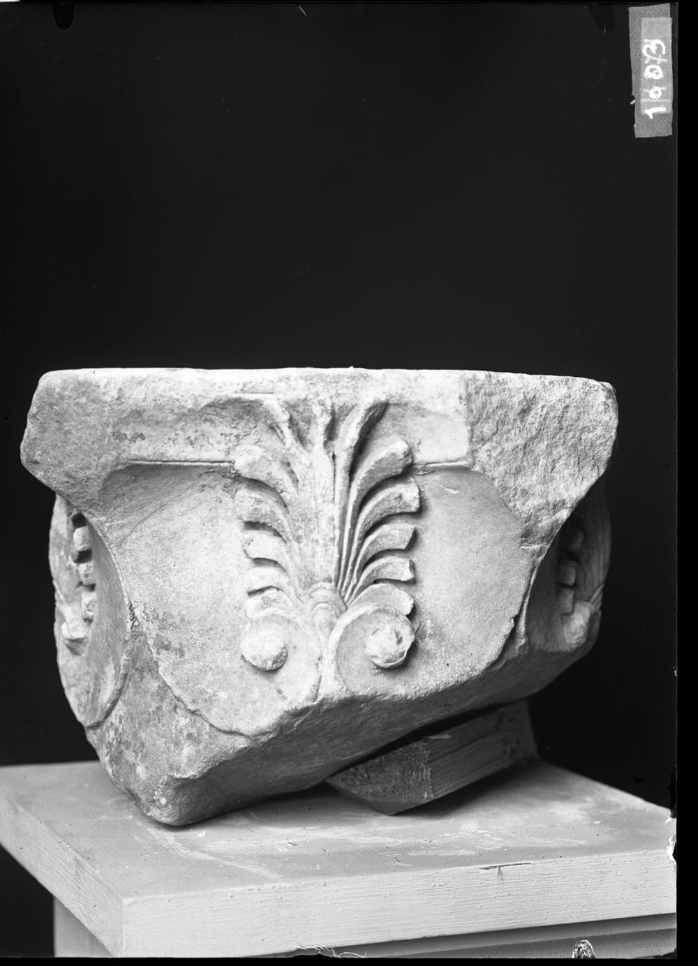 Capitelli 1003.jpg