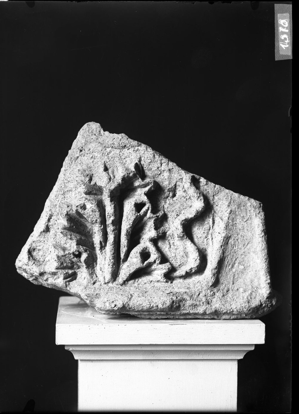 Capitelli 1010.jpg