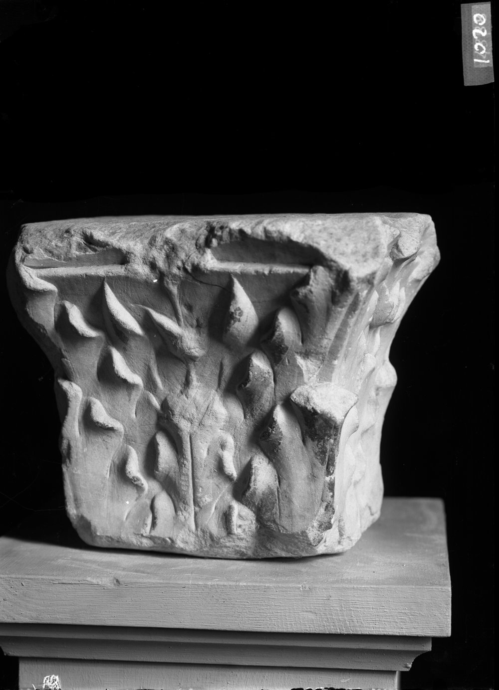 Capitelli 1020.tif