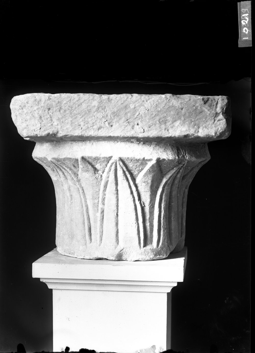 Capitelli 1021.tif