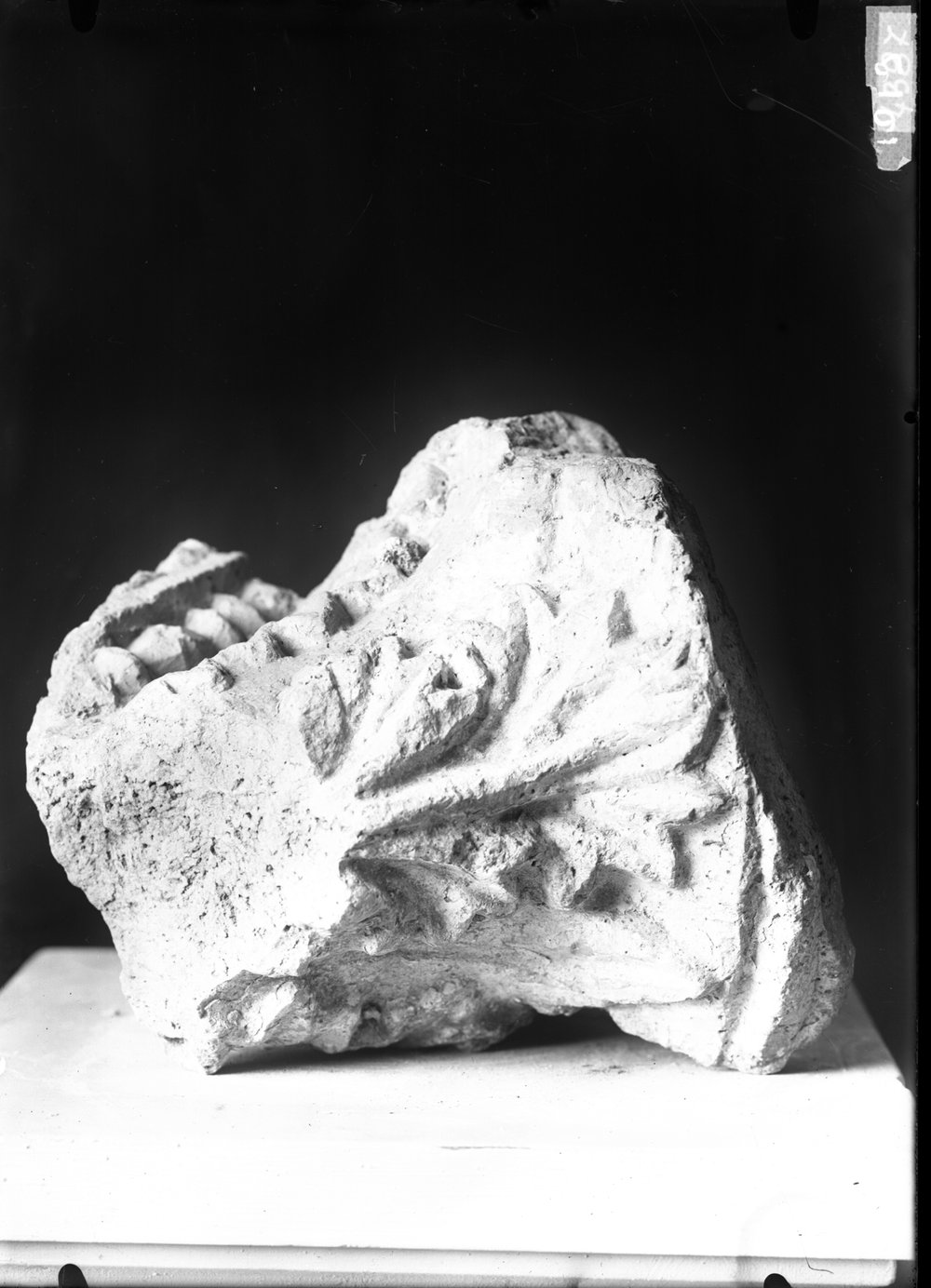 Capitelli 1019.tif
