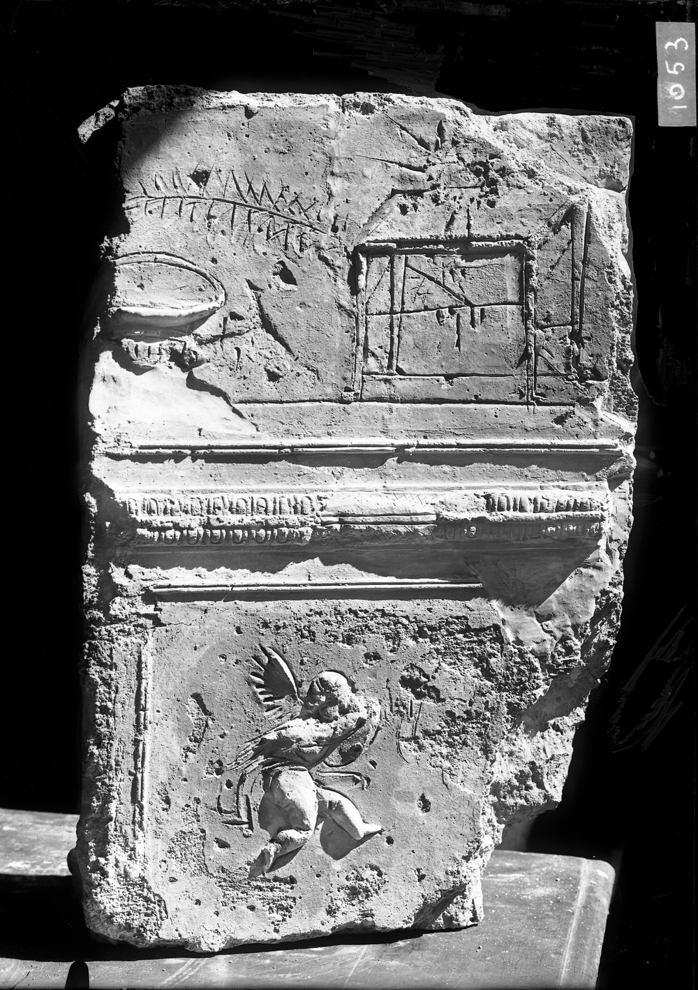 Stucchi dal Tribunal Traiani 1053.tif
