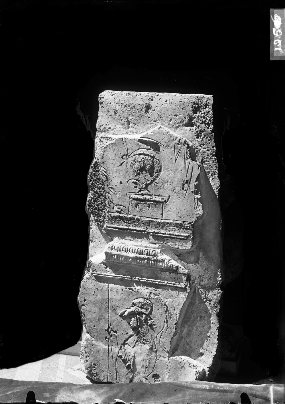 Stucchi dal Tribunal Traiani 1056.tif