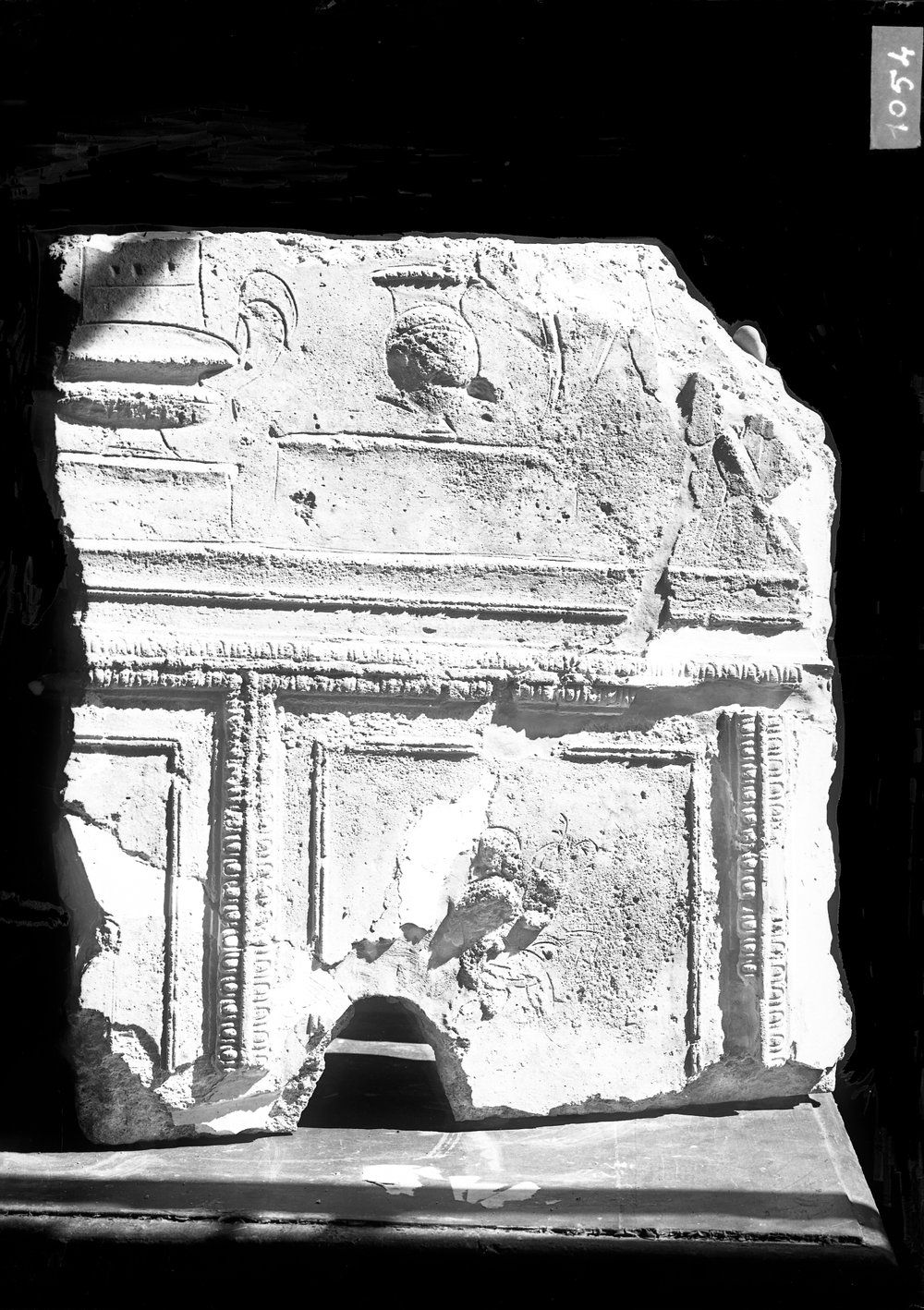 Stucchi dal Tribunal Traiani 1054.tif