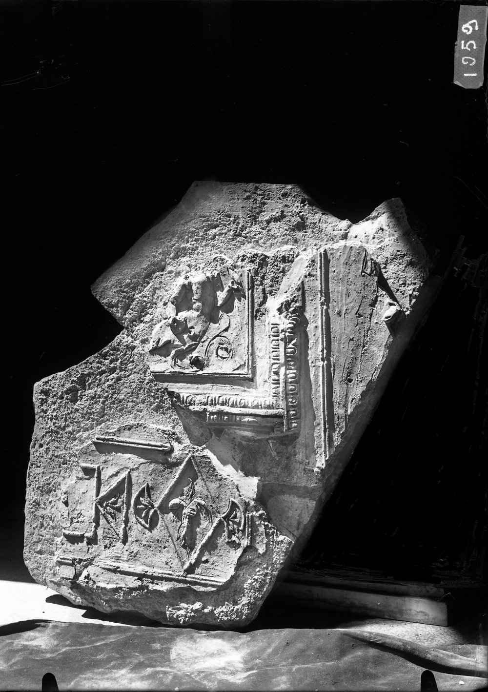Stucchi dal Tribunal Traiani 1059.tif