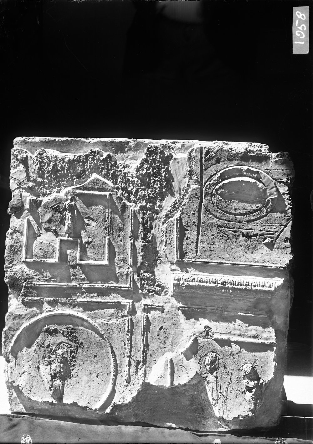 Stucchi dal Tribunal Traiani 1058.tif