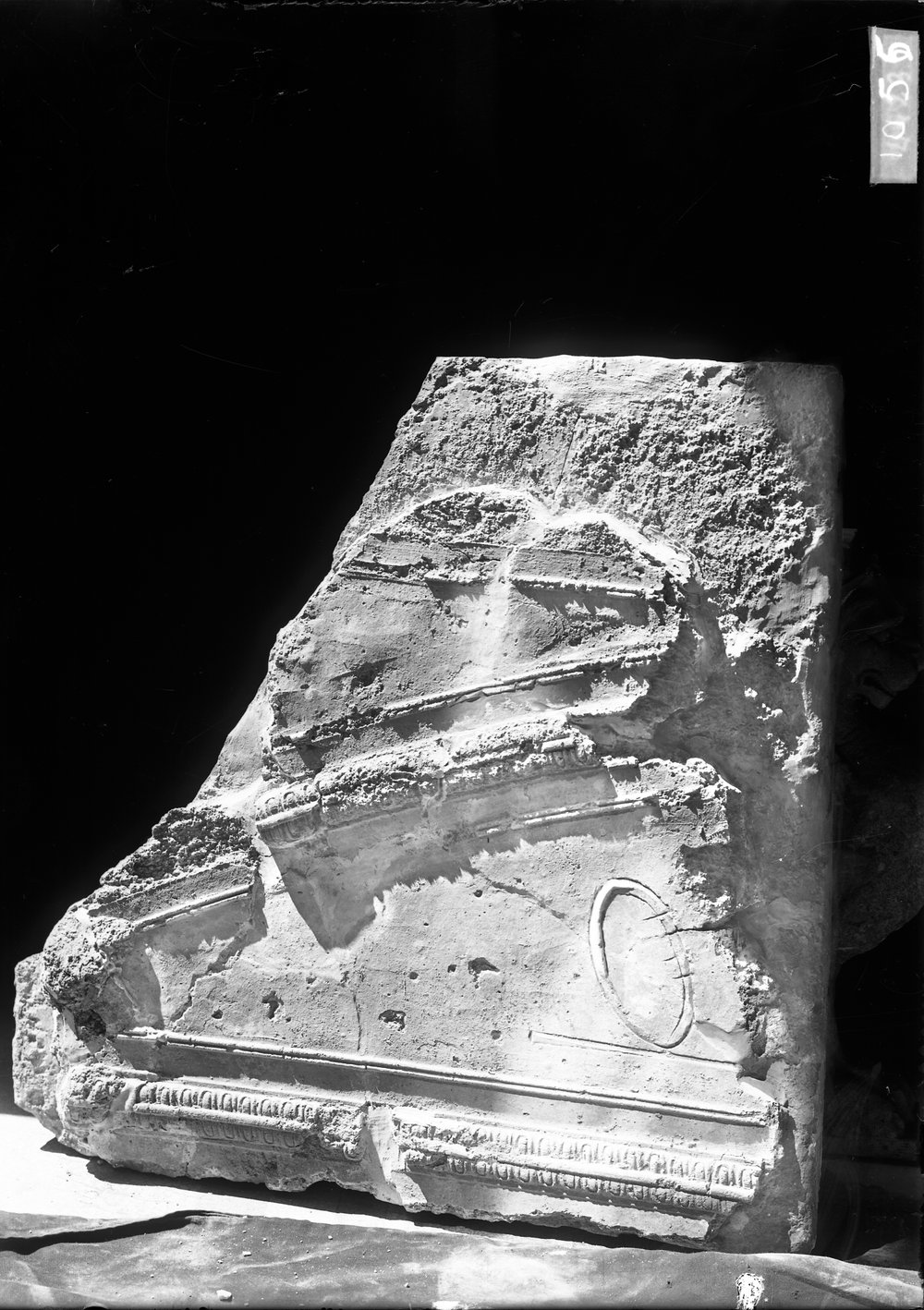Stucchi dal Tribunal Traiani 1055.tif