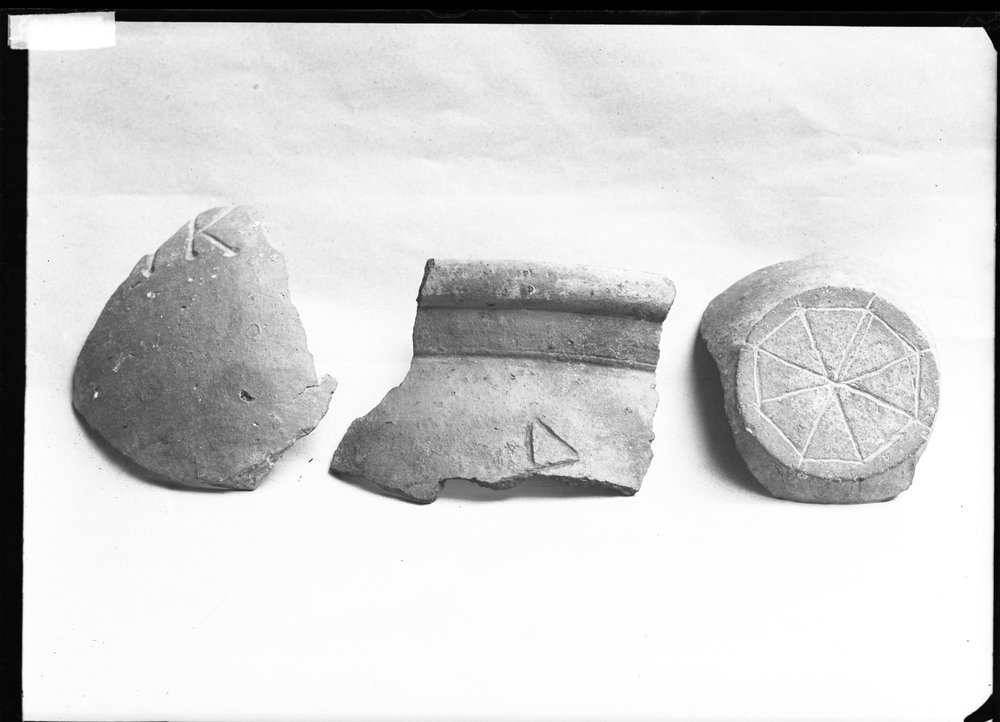Materiale dal pozzo della Regia 977.tif