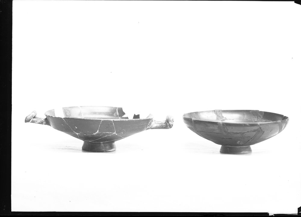 Materiale dal pozzo della Regia 973.tif