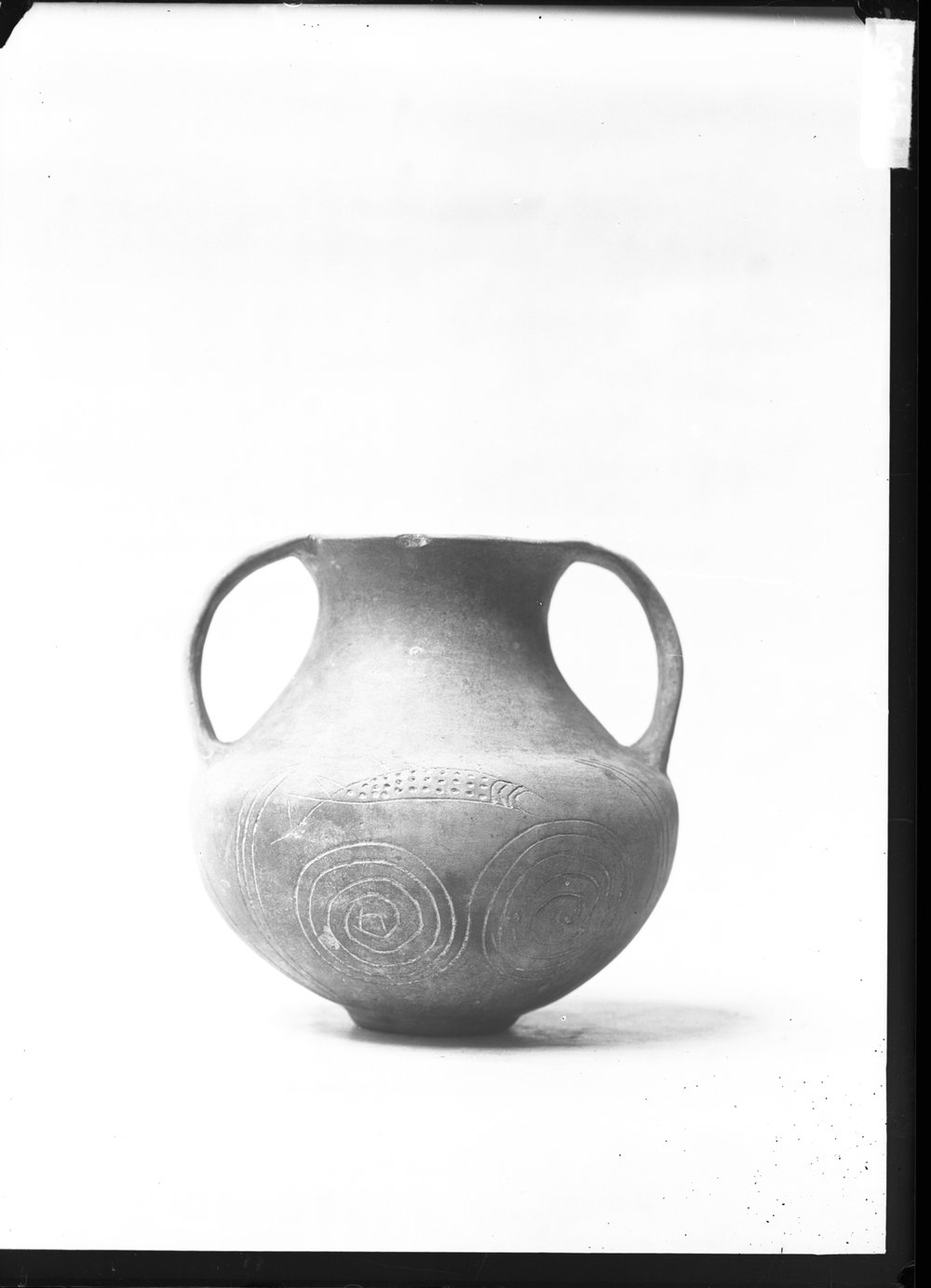 Equus Domitiani, materiale 982.tif