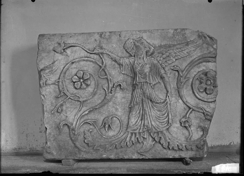 Fregio del tempio del Divo Giulio 884.jpg