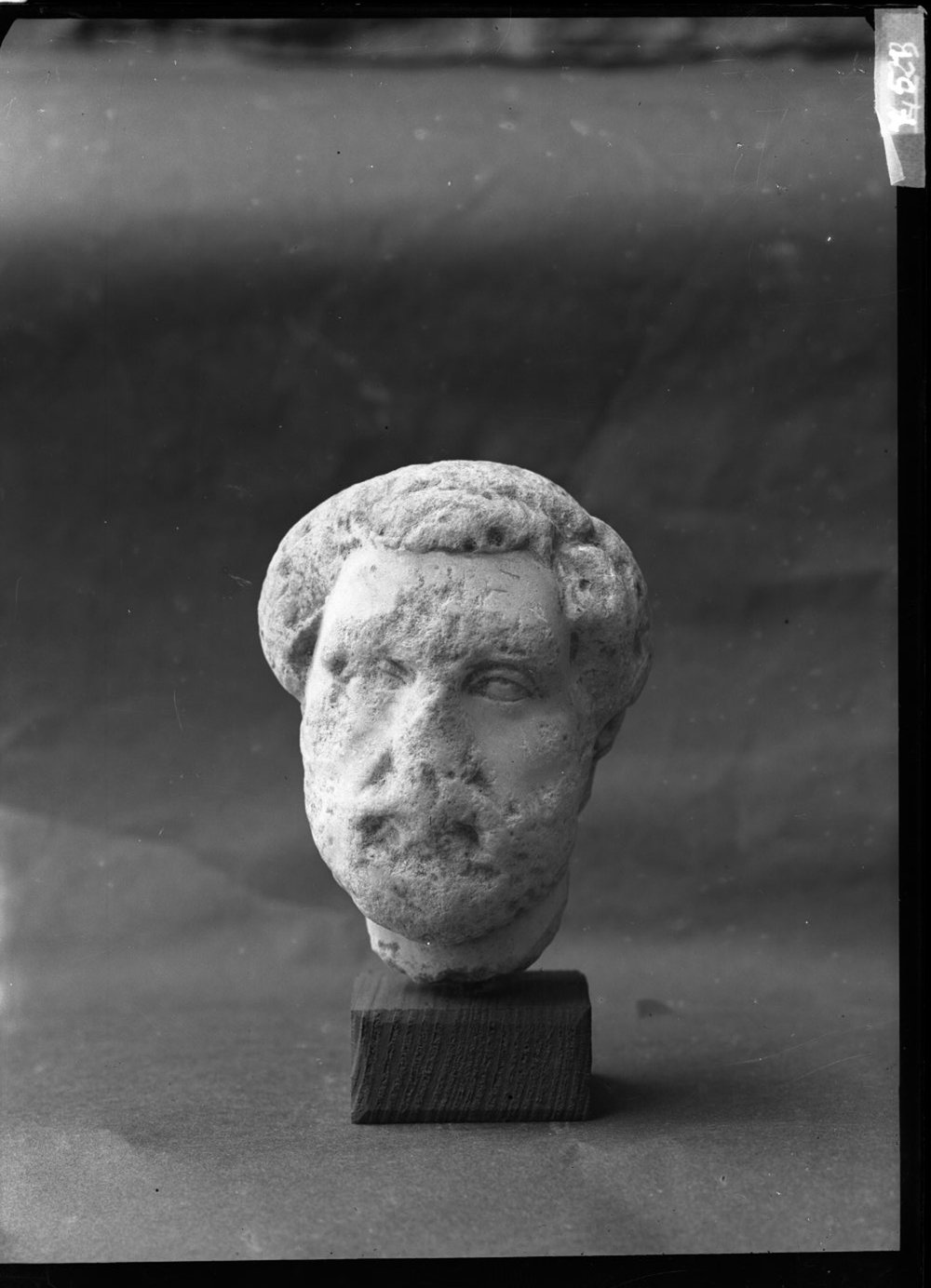 Materiale dalla Domus Publica 751.jpg