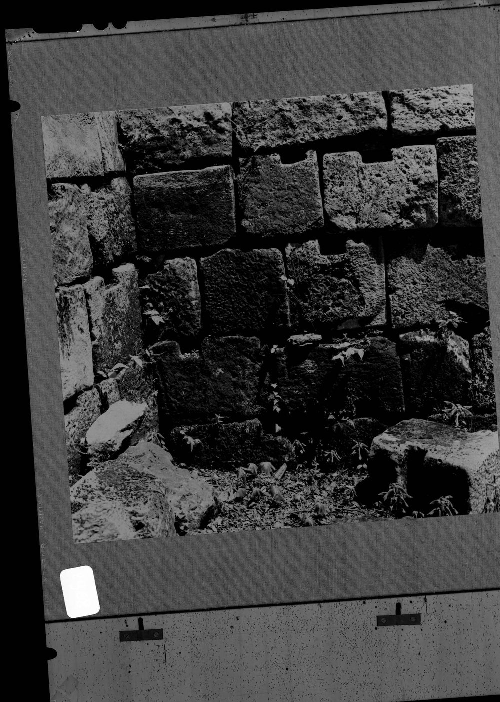 Mostra I Daci, D2968.jpg