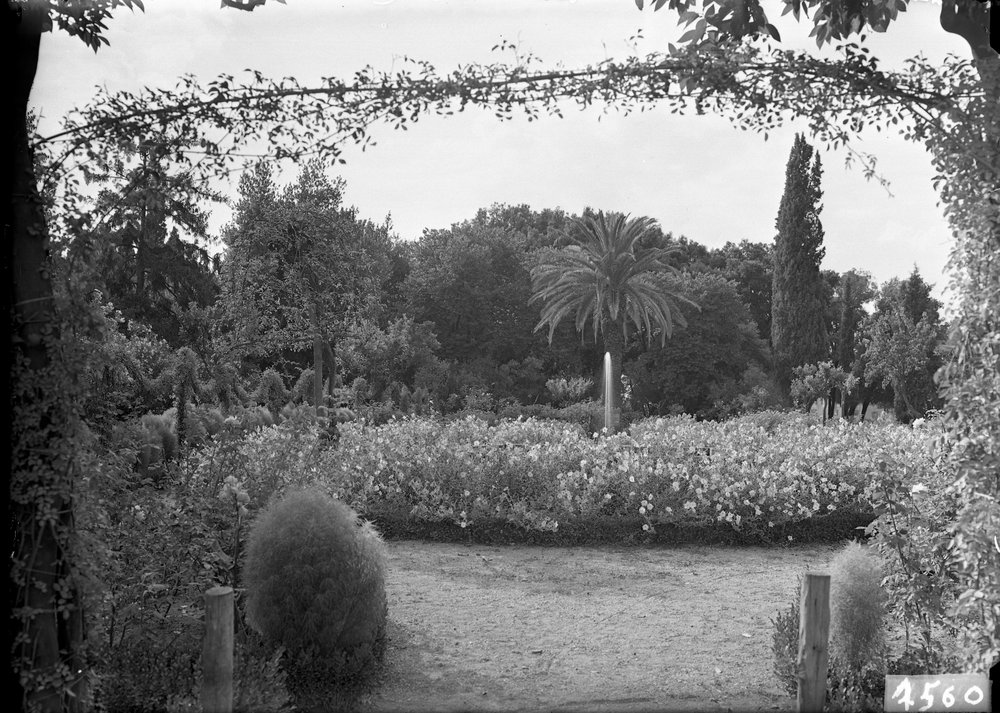 Palatino, Orti Farnesiani - 1560.tif